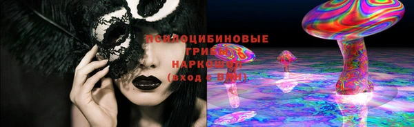 шишки Магадан
