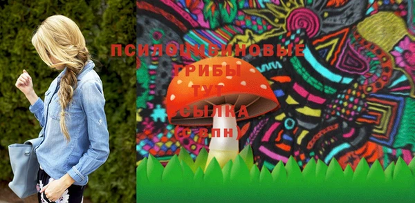 шишки Магадан