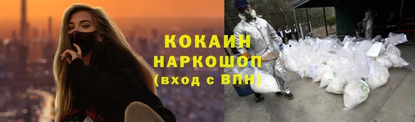 шишки Магадан