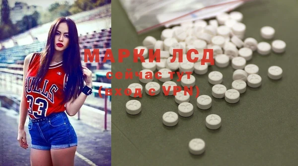 сатива Майский