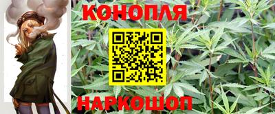 круглые Пугачёв
